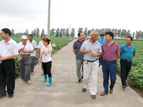 安徽省農(nóng)科院曹承富老師團(tuán)隊(duì)蒞臨柳豐農(nóng)科所視察指導(dǎo)